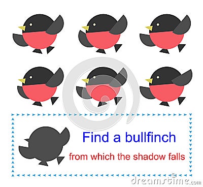 Educational game for kids. Find a bullfinch from which the shadow falls Vector Illustration