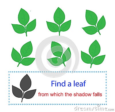 Task for attentiveness. Find a leaf from which the shadow falls. Vector Illustration