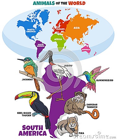 Educational illustration with cartoon South American animals Vector Illustration