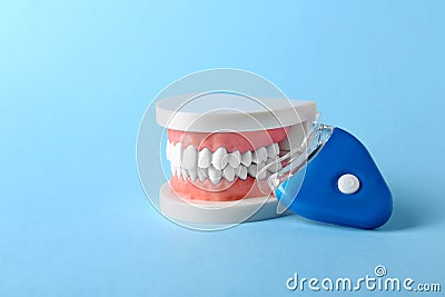 Educational model of oral cavity with teeth and whitening device Stock Photo