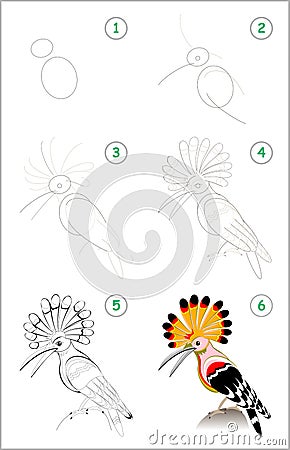 Educational page for kids. How to draw step by step a cute hoopoe. Back to school. Vector Illustration