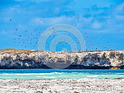 Edwards Island is an island in Lancelin. The island is 0.454 hectares with a elevation of 5 metres and is situated 100 metres off Stock Photo