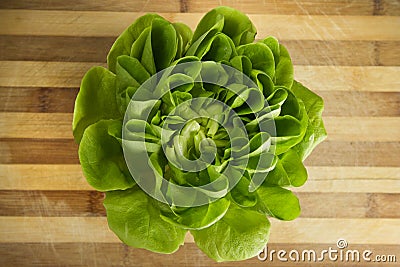 EDZR - Fresh Lettuce on a wood table Stock Photo