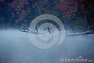 Eerie fog Stock Photo