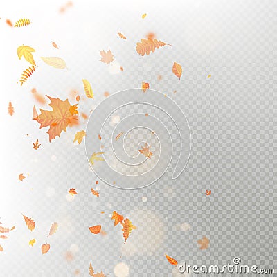 Effect of autumn falling leaves layer with shallow DOF blur. Autumnal foliage fall template. Warm color. EPS 10 Vector Illustration