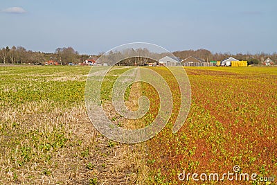 Effect of herbicide in agriculture Stock Photo