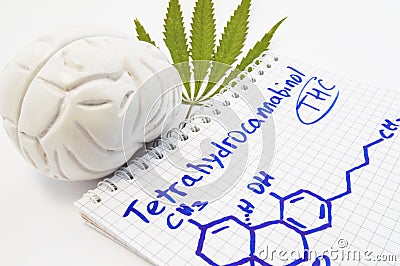 Effects and action of tetrahydrocannabinol THC on human brain. Anatomical model of brain is near leaf of hemp and notepad inscri Stock Photo