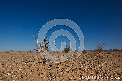 Effects of Climate Change Stock Photo