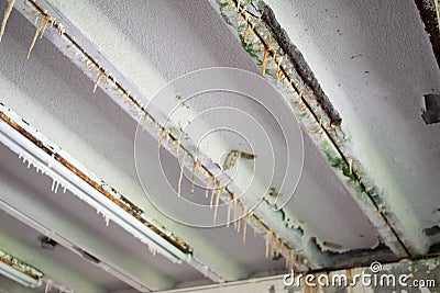 Efflorescence from concrete ceiling Stock Photo