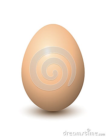 Egg Vector Illustration