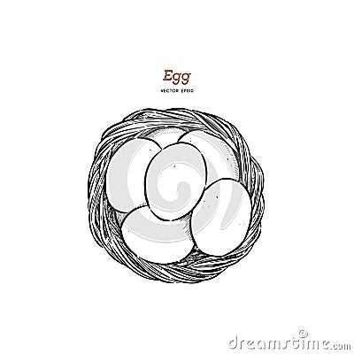 Egg in basket, Hand draw sketch vector. Vector Illustration