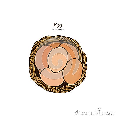 Egg in basket, Hand draw sketch vector. Vector Illustration