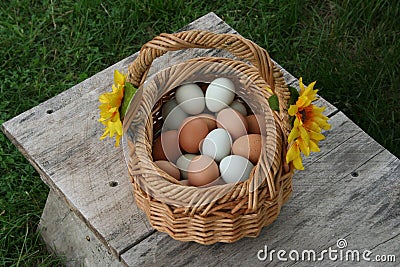 Egg baskets Stock Photo