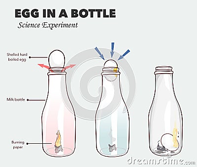 Egg in a bottle science experiment vector illustration Vector Illustration