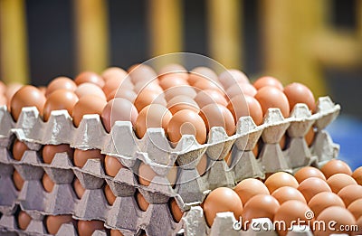 egg in box Fresh eggs packaging on tray from chicken farm Stock Photo