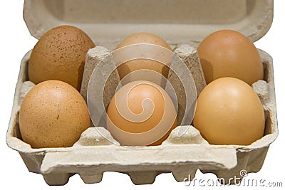 Egg in the box Stock Photo