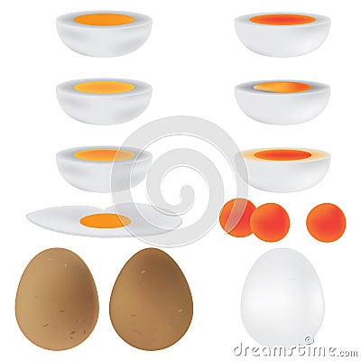 Egg brown white set Vector Illustration