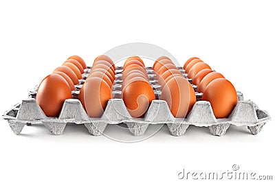 Egg in carton box Stock Photo