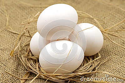Egg carton on jute fabric. close-up white egg Stock Photo