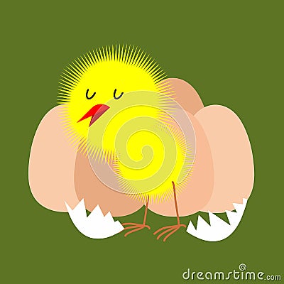 Egg and chicken. Furry chick hatched from an egg. Vector Vector Illustration