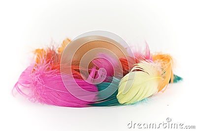 Egg and colored feathers Stock Photo