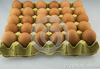 Egg and egg tray Stock Photo