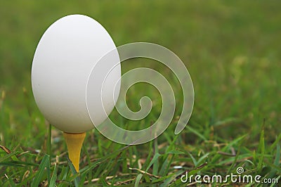 Egg on a Golf Tee Stock Photo