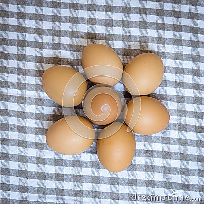 Egg group on cloth plaid Stock Photo