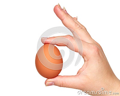 Egg with hand Stock Photo