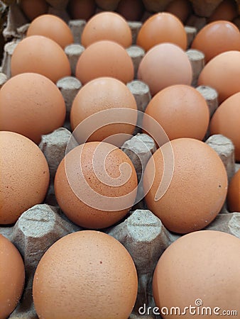 The egg has a variety of basic nutritional concentrations that contain calories, saturated fats, cholesterol and sodium. Stock Photo