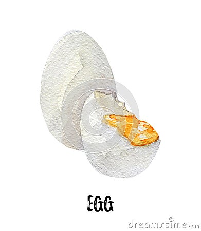 Egg illustration. Hand drawn watercolor on white background. Cartoon Illustration