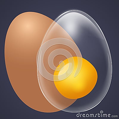 Egg Vector Illustration