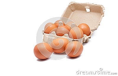 Egg in paper box isolated in white background. Eggs in carton. Green packaging. Chicken eggs from organic farm. Brown cardboard Stock Photo