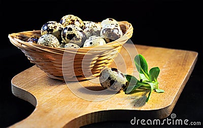 Egg, quail, Stock Photo