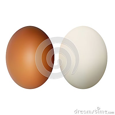 Egg on a white background. Natural ecological product. Healthy food. Dietary meal. Easter symbol. Vector Illustration