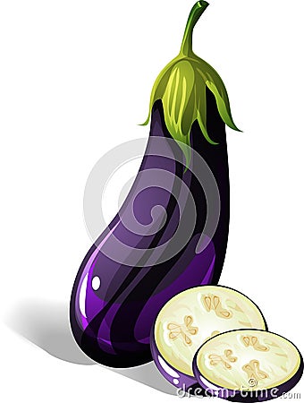 Eggplant Vector Illustration