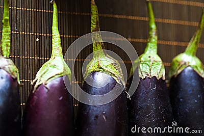 Eggplant Stock Photo