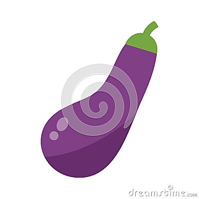 Eggplant or aubergine vegetable isolated vector illustration. Vector Illustration