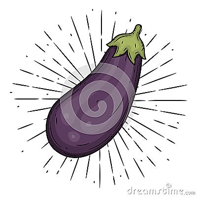 Eggplant. Hand drawn vector illustration with eggplant and divergent rays. Used for poster, banner, web, t-shirt print Vector Illustration