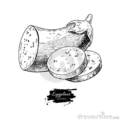 Eggplant hand drawn vector illustration. Isolated Vegetable engraved style object with sliced pieces Vector Illustration