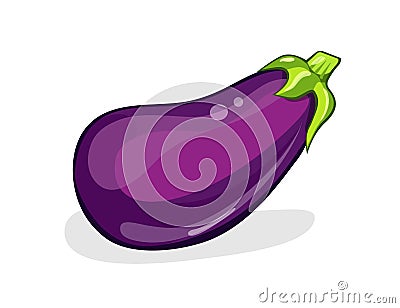 Eggplant. One fresh eggplant isolated on white. Aubergine. Vector illustration. Vector Illustration