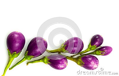 Eggplant purple isolared on white background Stock Photo