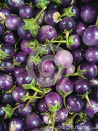 Eggplant Stock Photo