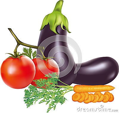 Eggplant Tomato Carrot Vector Illustration