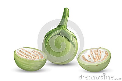 Eggplant vector green fresh, and cut half realistic design, isolated on white background Vector Illustration