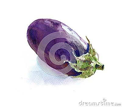 Eggplant Stock Photo