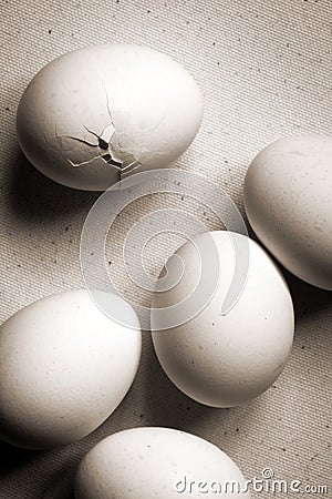 Eggs Stock Photo