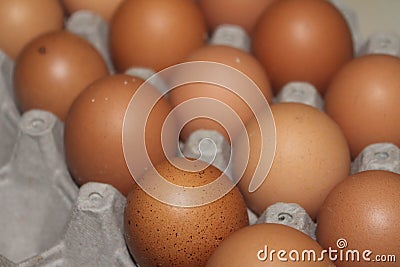 Eggs Stock Photo