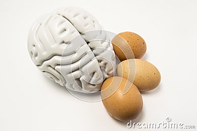Eggs as food for the brain. The figure of the human brain and chicken eggs lie side by side on a white background, symbolizing hea Stock Photo