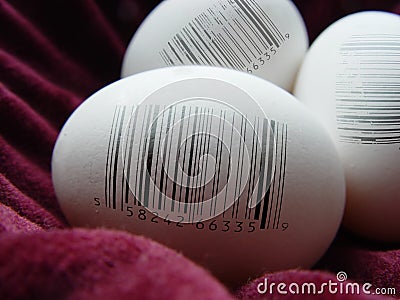 Eggs with Barcodes Stock Photo